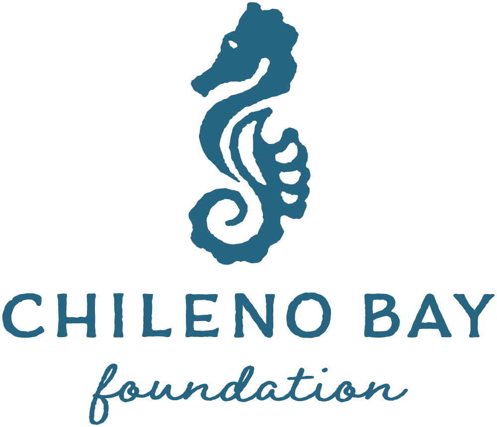 Chileno Bay Foundation Inc logo